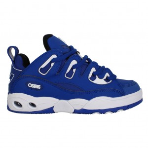 Blue / White / Blue Women Osiris D3 E Sneakers | OS0985267